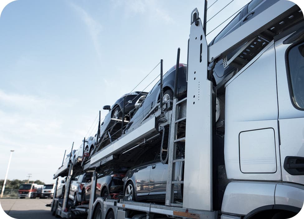 Доставка в Литву, Беларусь и другие страны СНГ